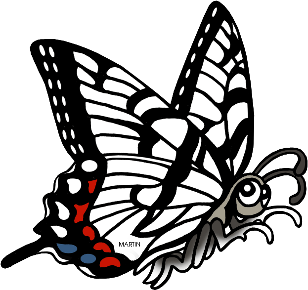 Butterfly Outline Png 623 X 587