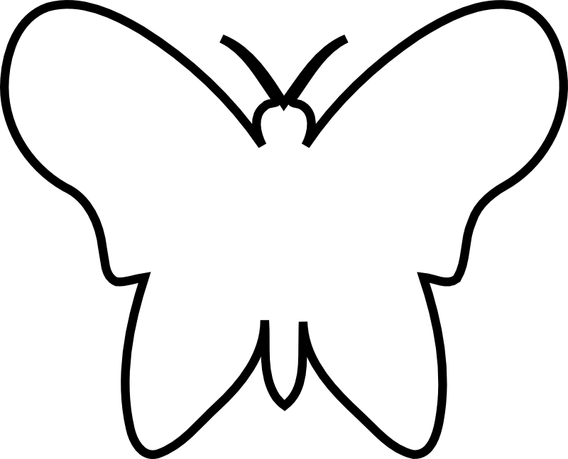 Butterfly Outline Png 800 X 647