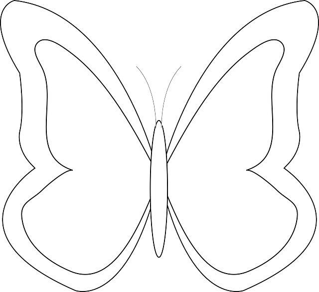 Butterfly Outline Png 640 X 586