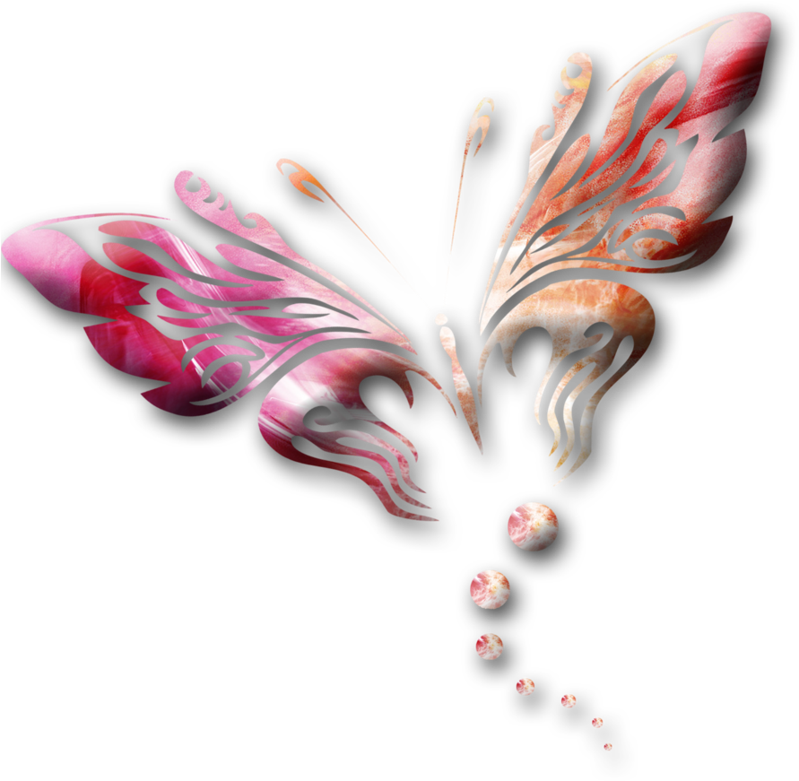 Butterfly Outline Png 891 X 871