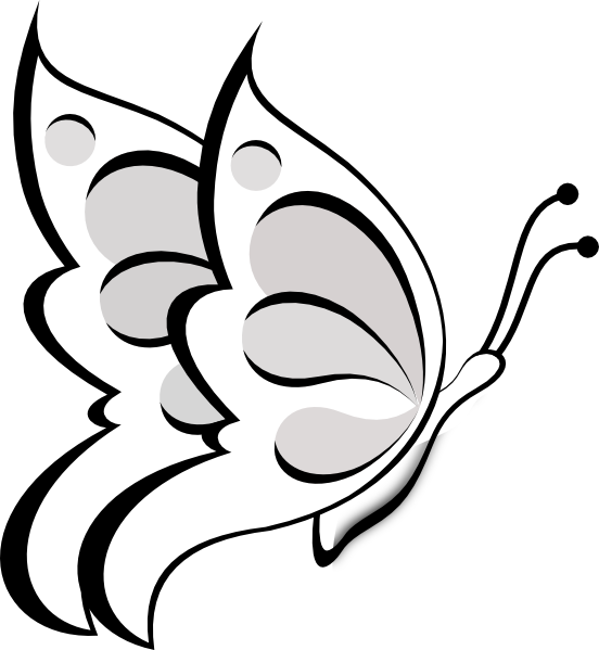Butterfly Outline Png 552 X 599