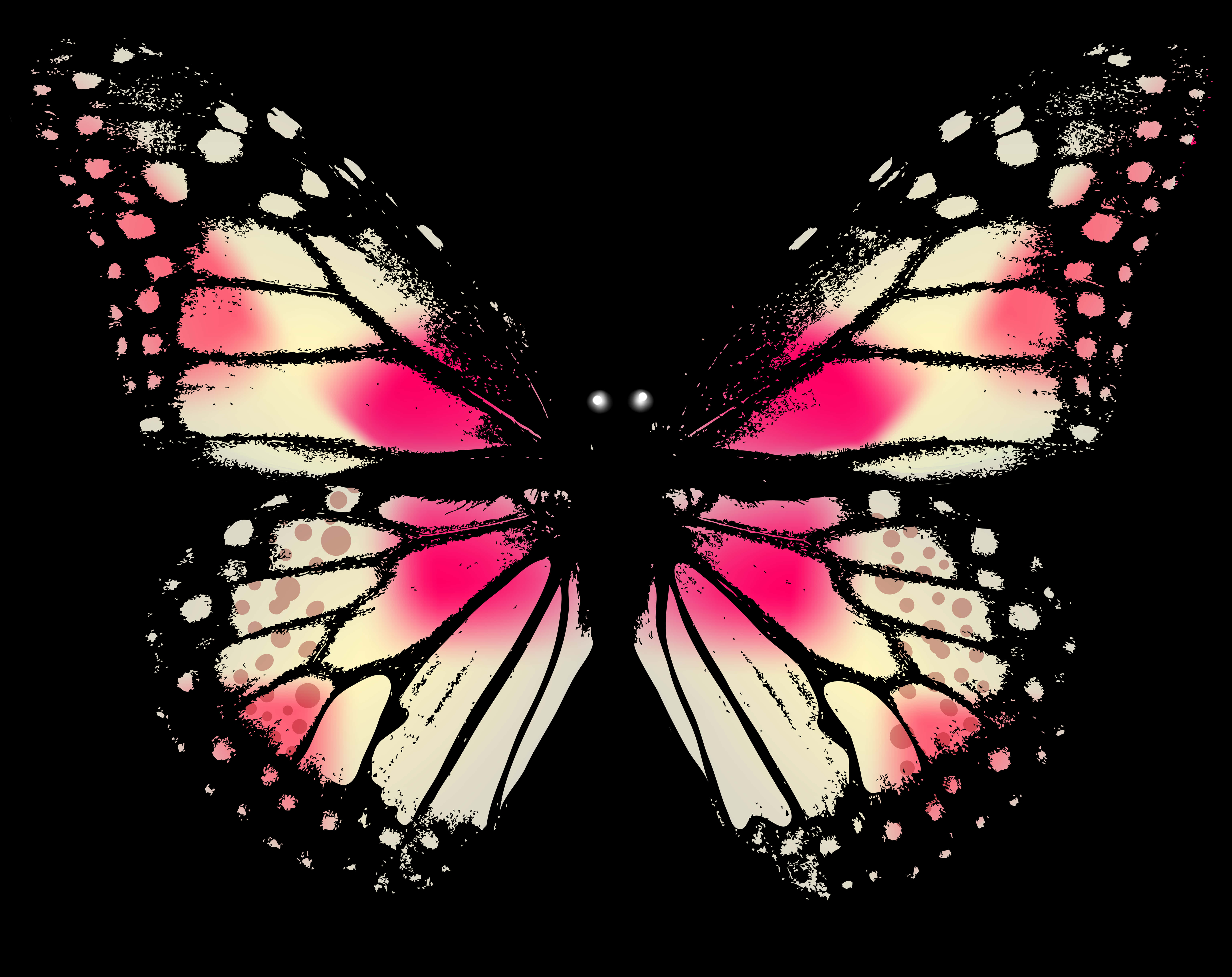 A Butterfly With Pink And White Wings