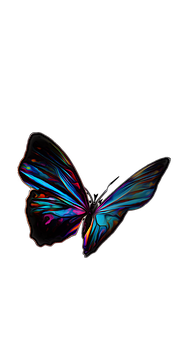 A Colorful Butterfly With Black Background