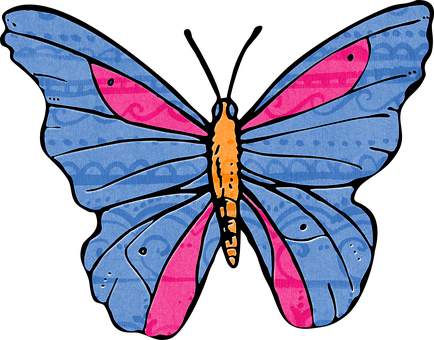A Blue And Pink Butterfly