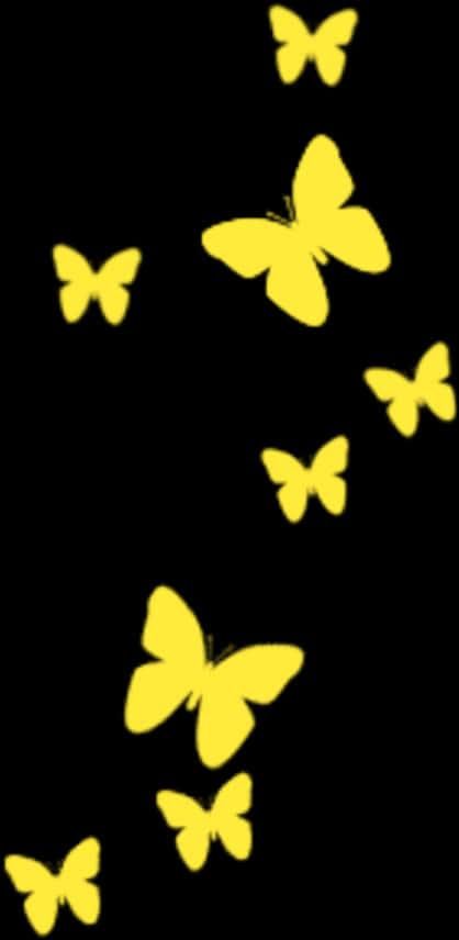 A Group Of Yellow Butterflies