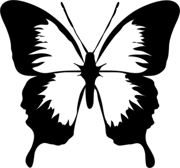 A Black And White Drawing Of A Butterfly