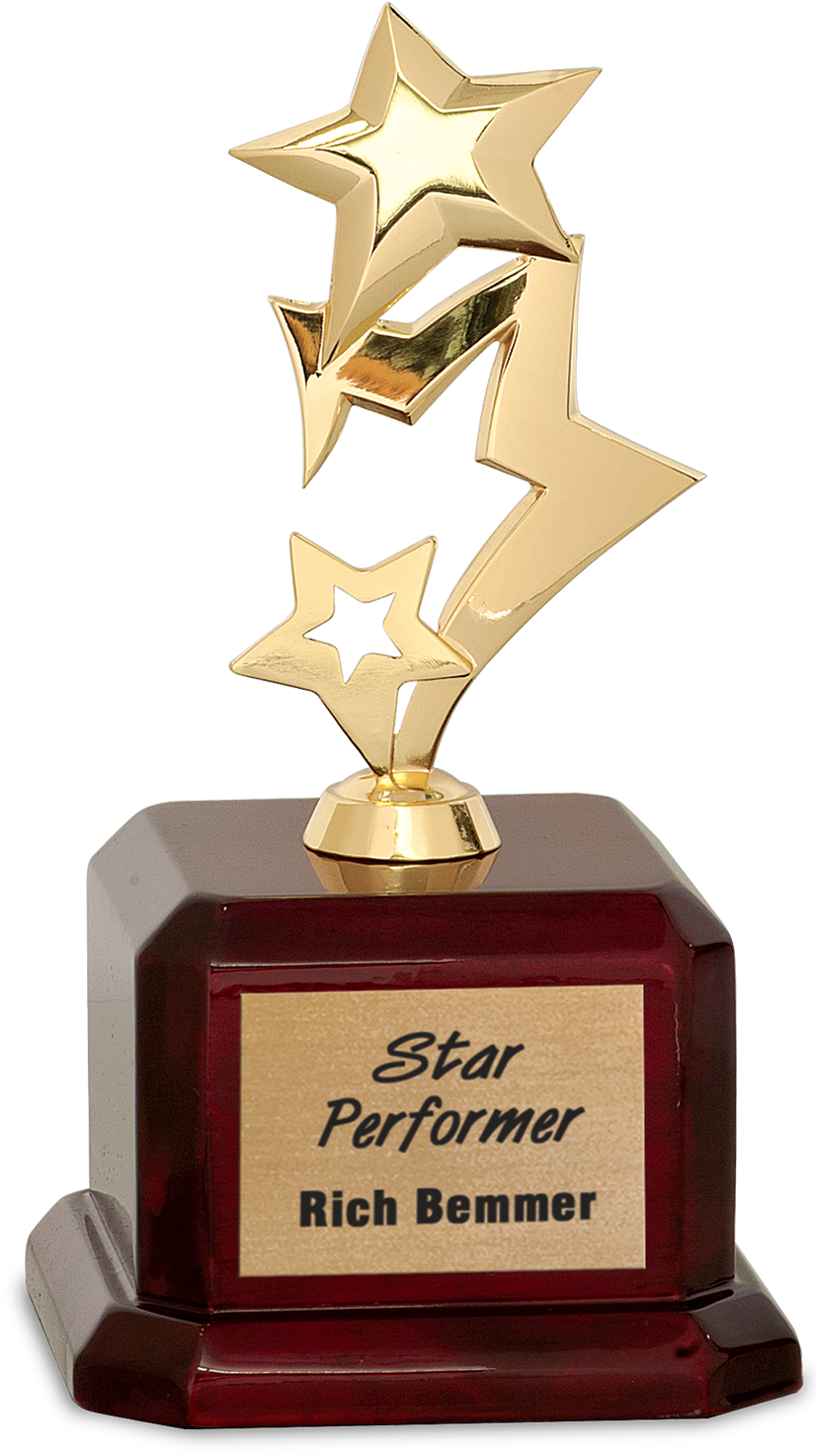 A Gold Star Performer Award