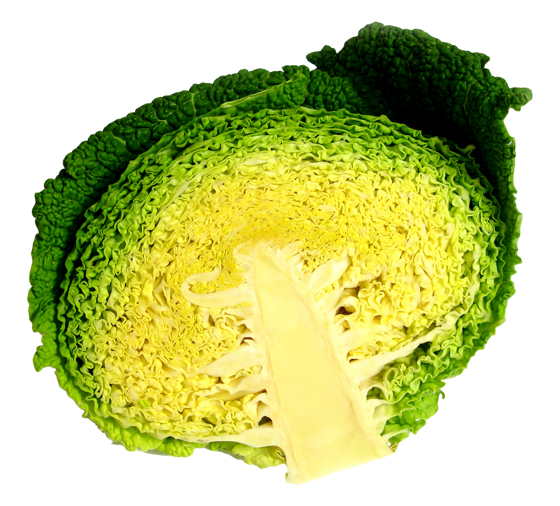 A Green And Yellow Cabbage