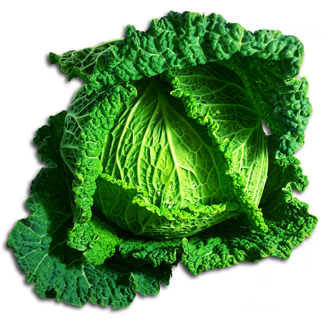 A Head Of Cabbage With Leaves