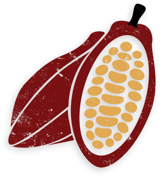 Cacao Png 532 X 585
