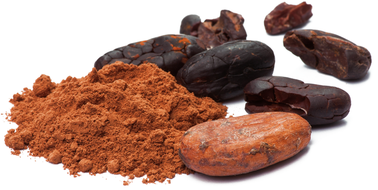 Cacao Png 763 X 383