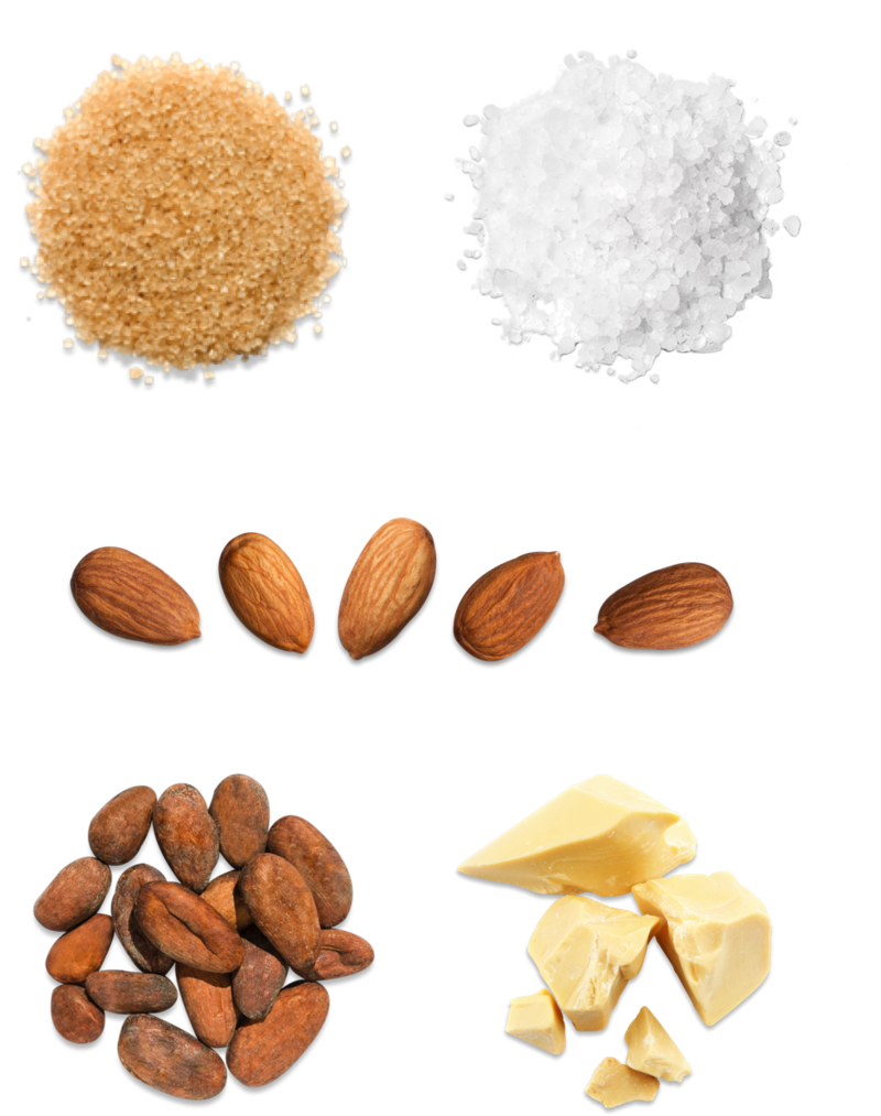 Cacao Png 800 X 1013