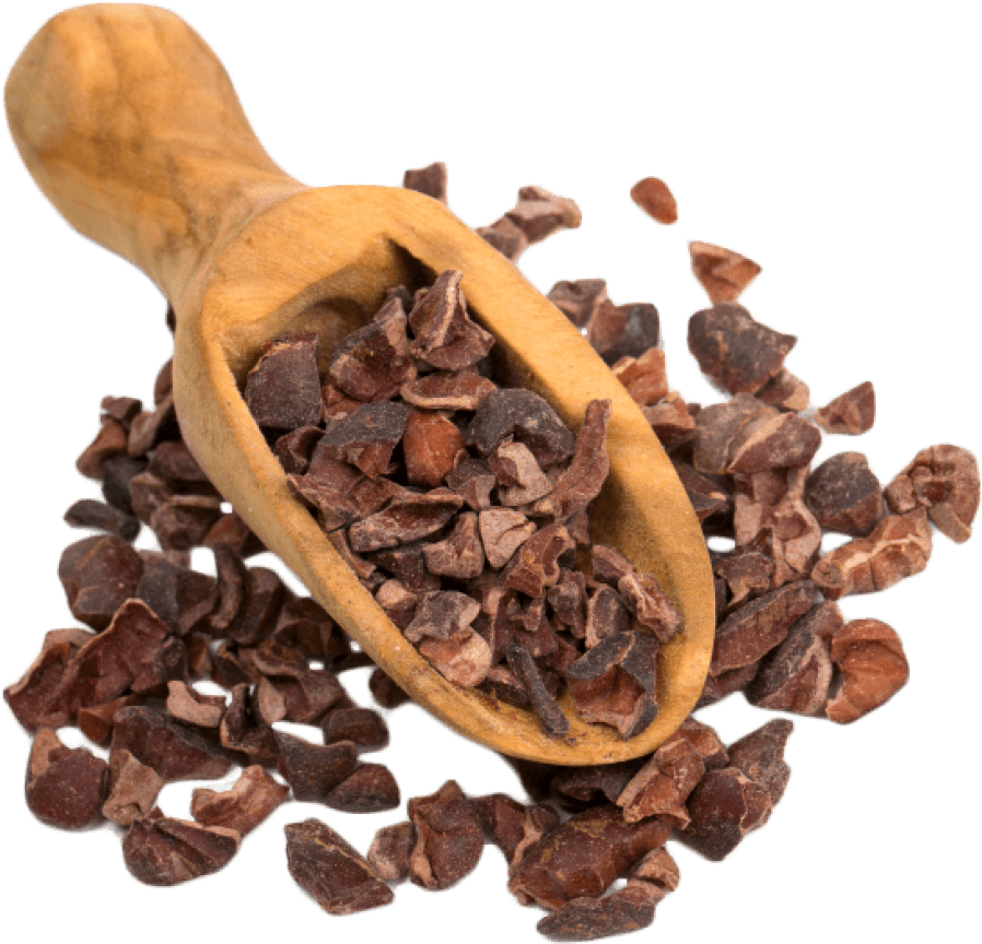 Cacao Png 898 X 864