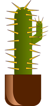Cactus Png 170 X 340
