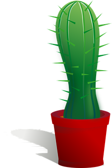 Cactus Png 226 X 340