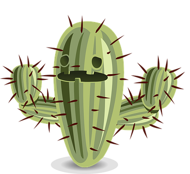 Cactus Png 372 X 340