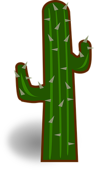 Cactus Png 187 X 340