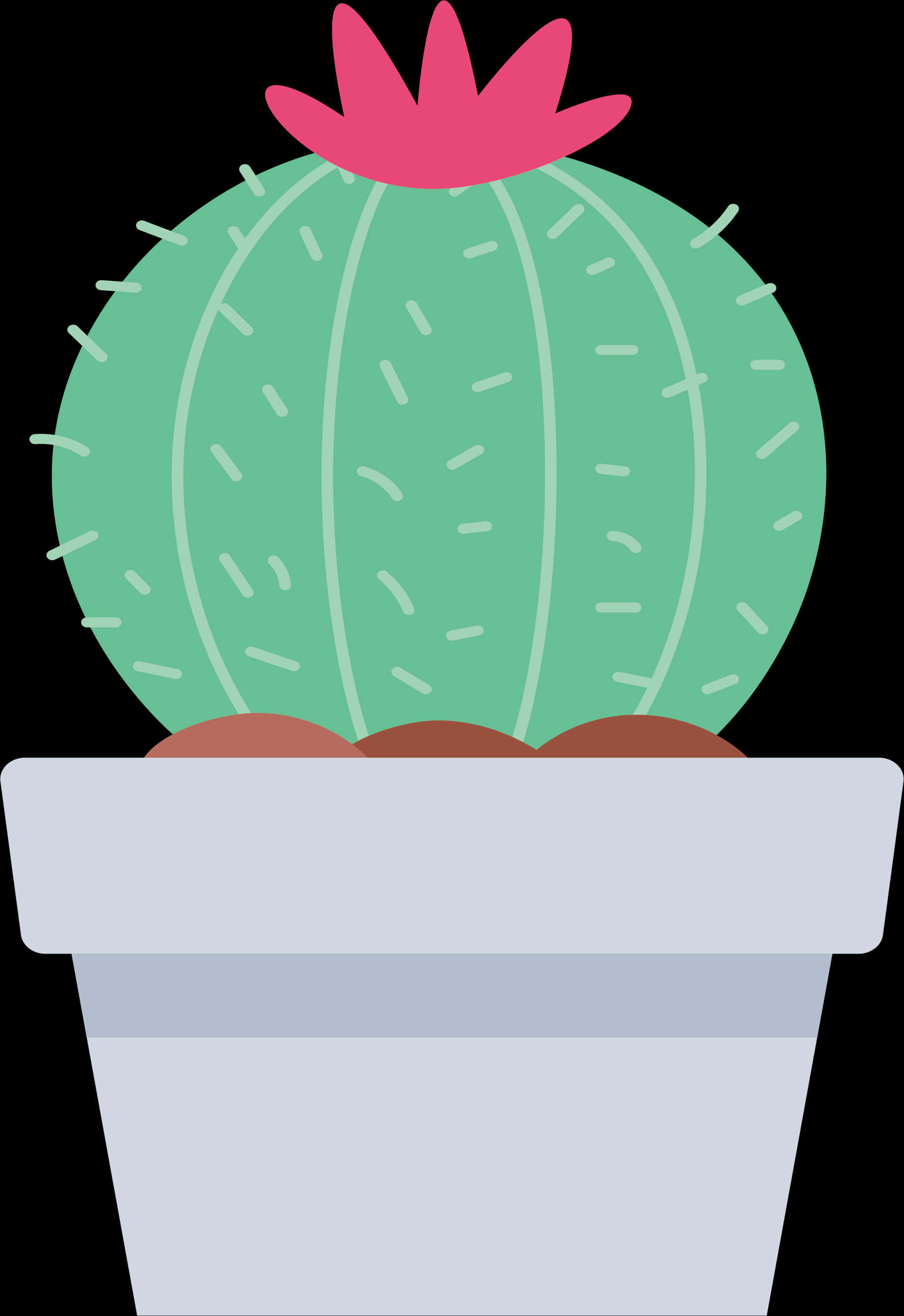 Cactus In Gray Pot