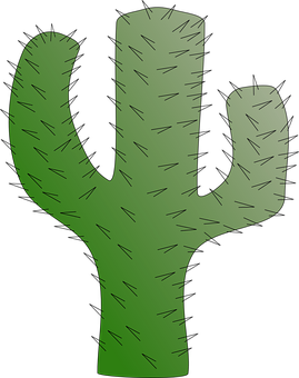 Cactus Png 269 X 340