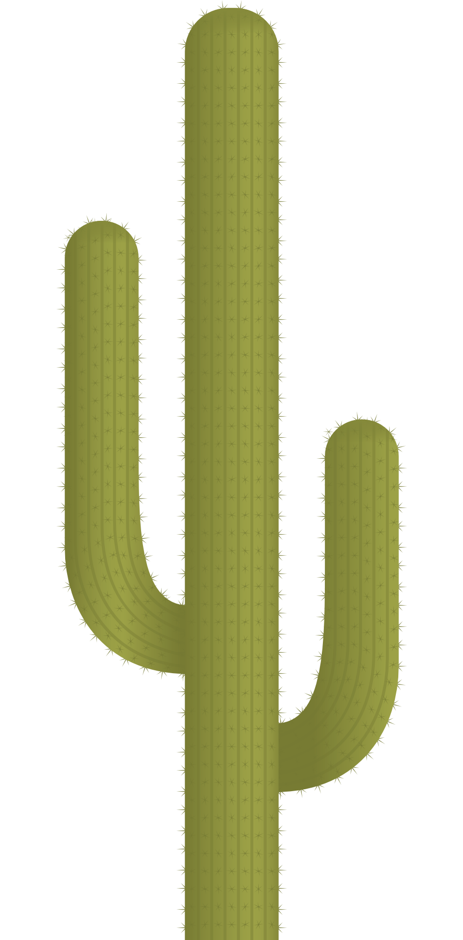 Cactus Png 945 X 1920