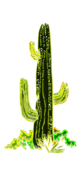 Cactus Png 157 X 340