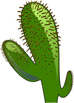 Cactus Png 244 X 340