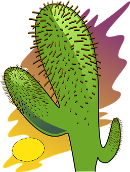 Cactus Png 257 X 340