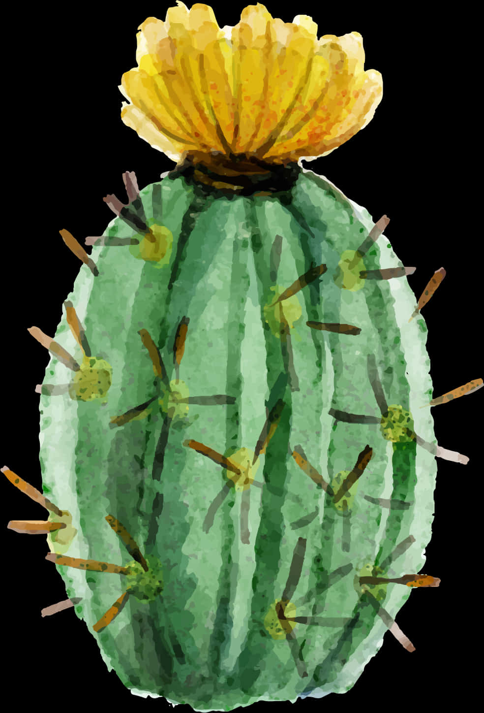 Cactus With Yellow Flower