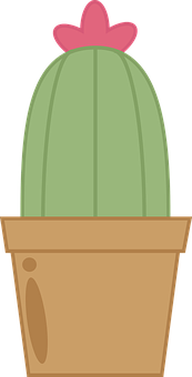 Cactus Png 173 X 340