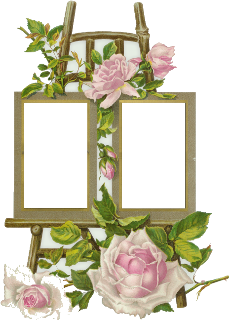 A Picture Frame With Flowers