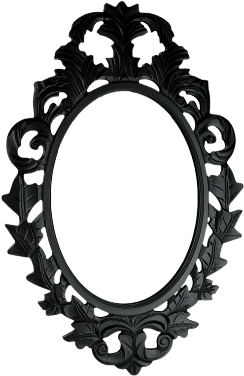 A Black Oval Frame With Leaves