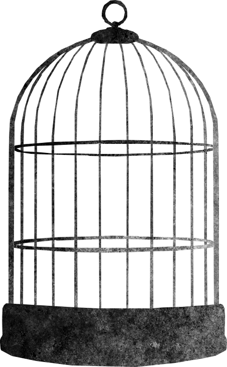 Cage PNG