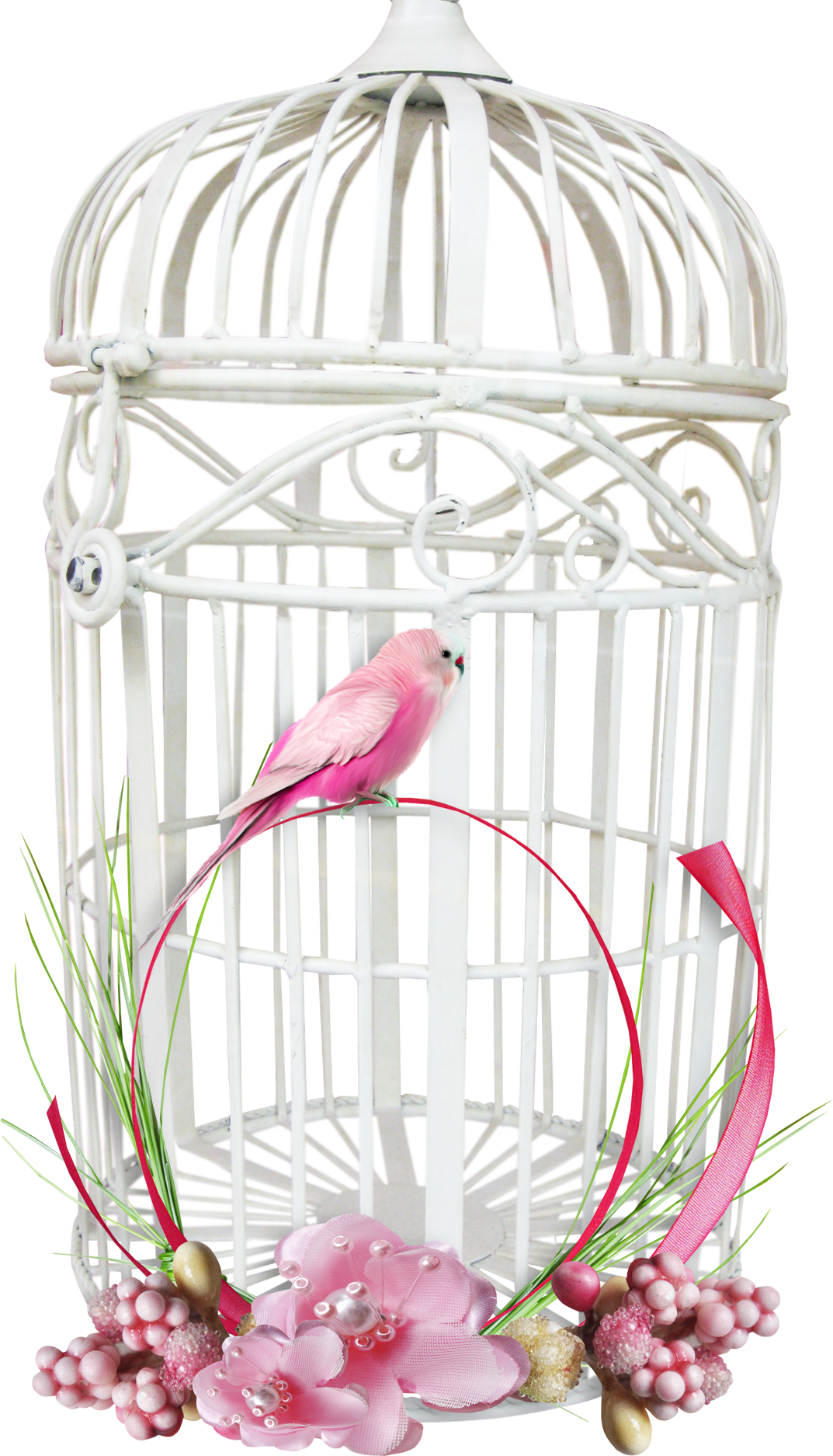 A Bird Sitting On A Cage