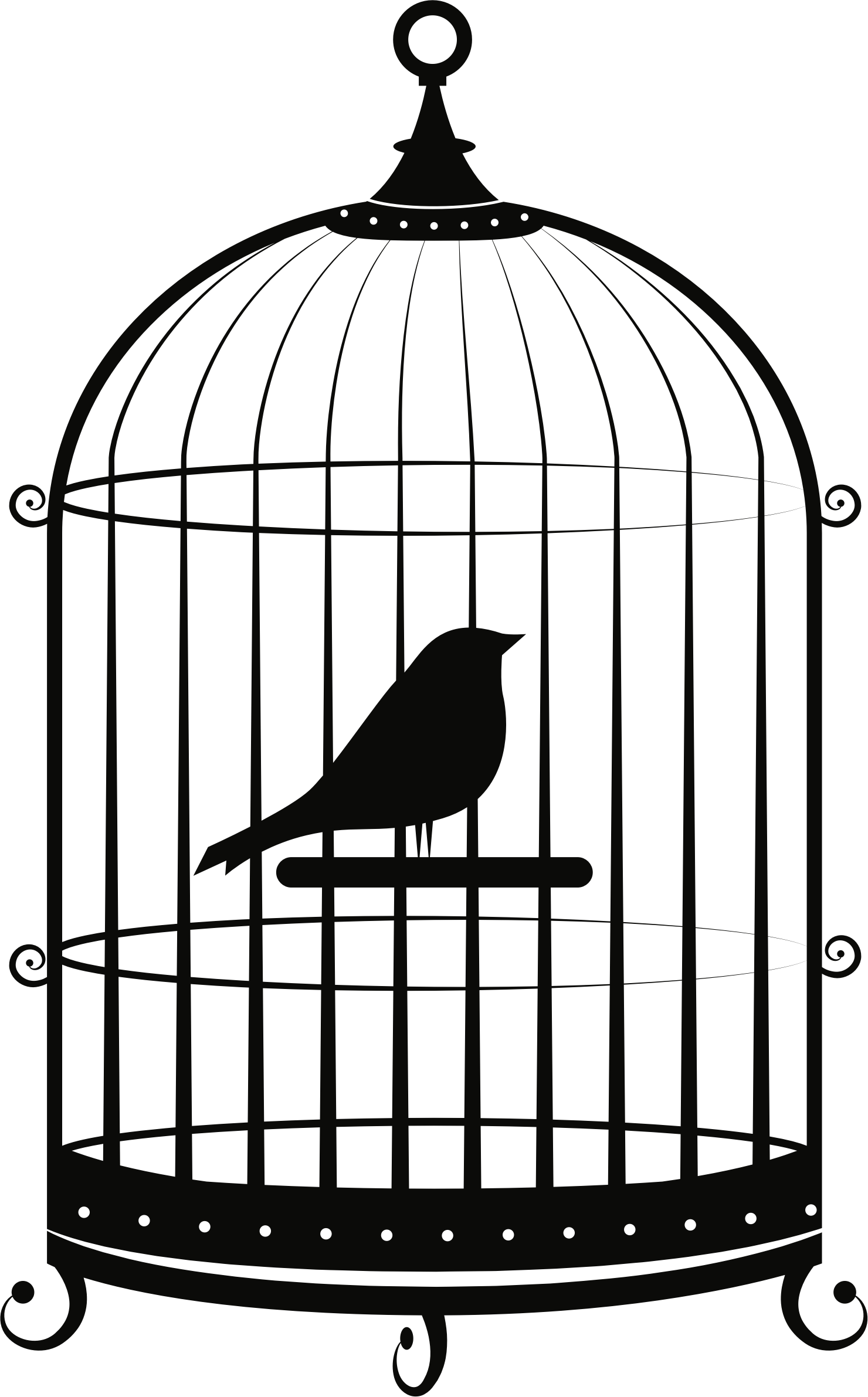 A Bird In A Cage