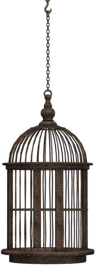 A Bird Cage From A Chain
