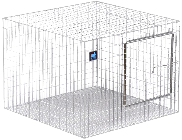 A Cage With A Door