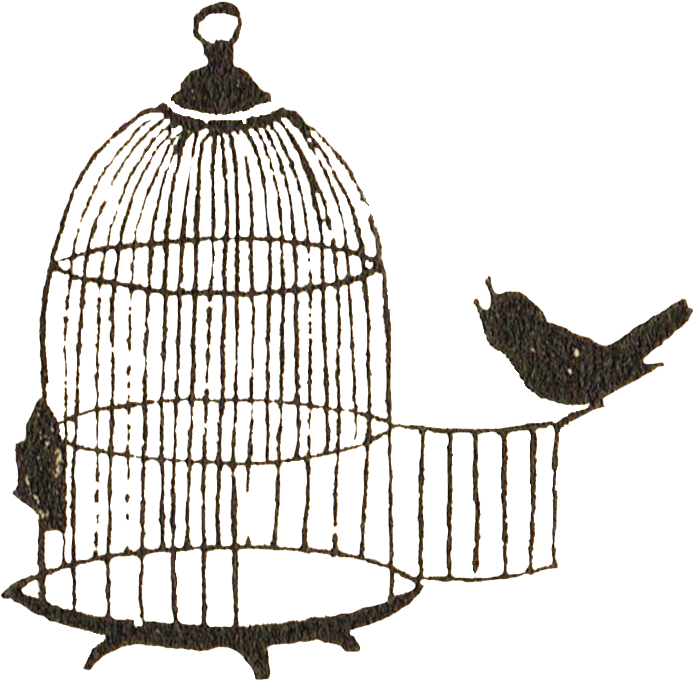 A Bird In A Cage