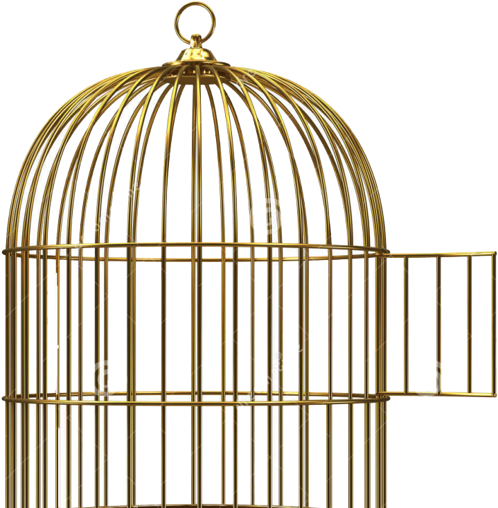 A Gold Bird Cage With A Door Open