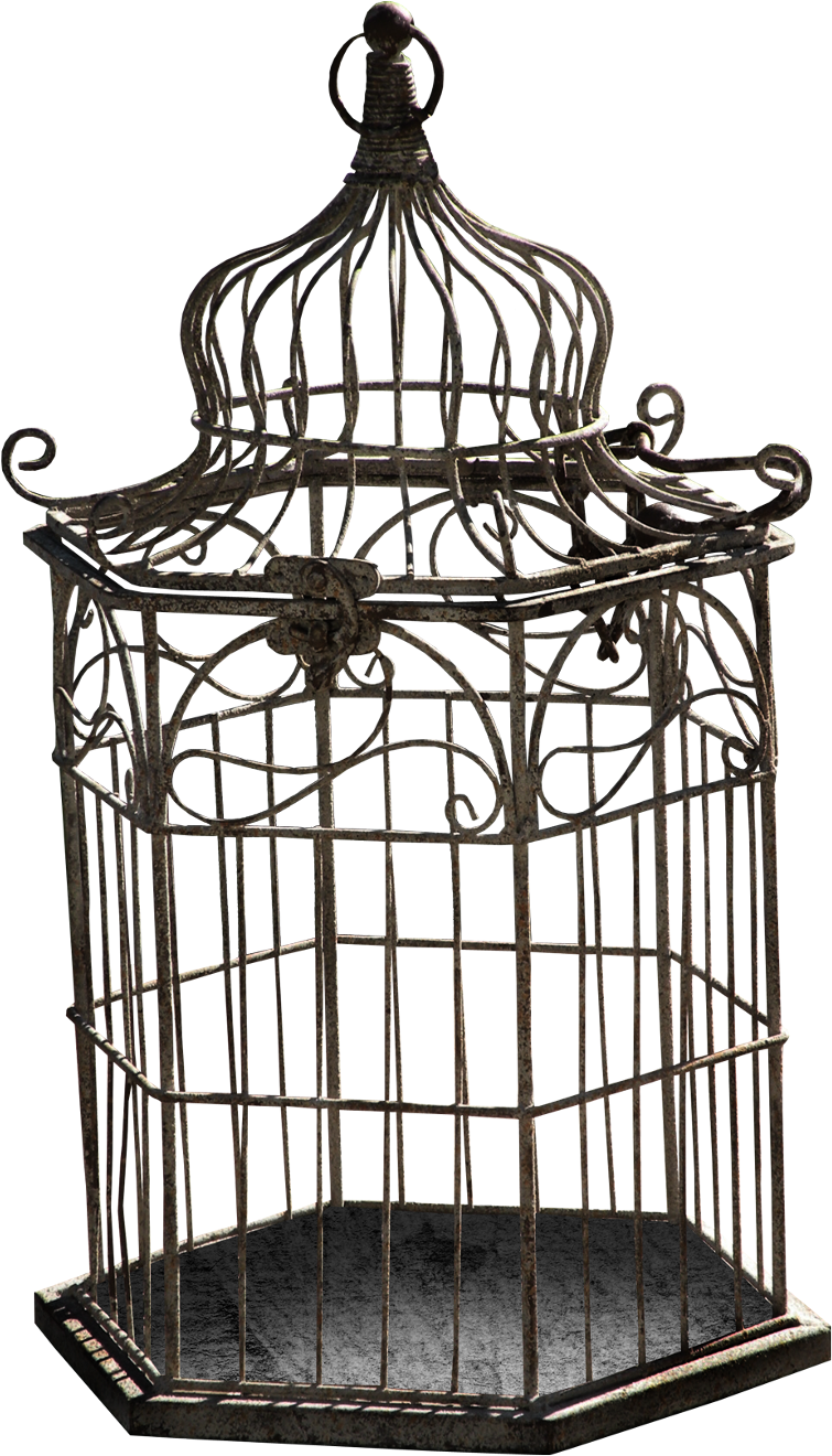 A Bird Cage With A Black Background