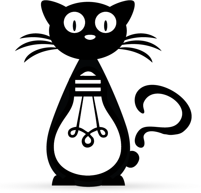 A Cat With A Light Bulb