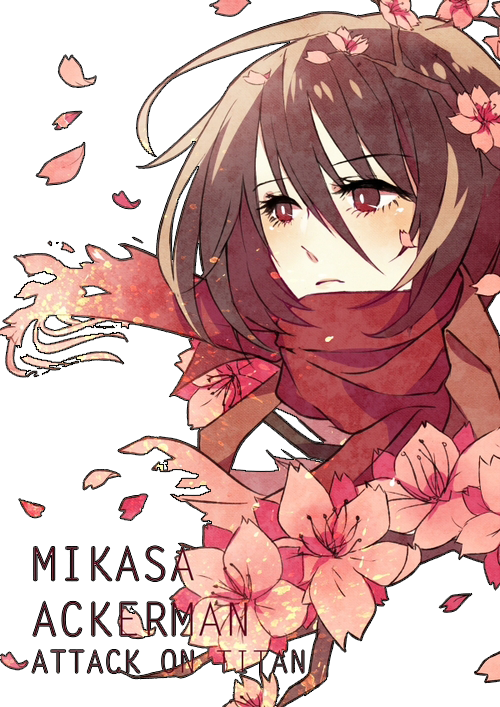 Mikasa Ackerman Aesthetic