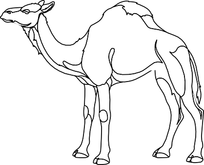 A White Outline Of A Camel