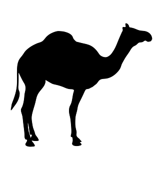 A Black Silhouette Of A Camel