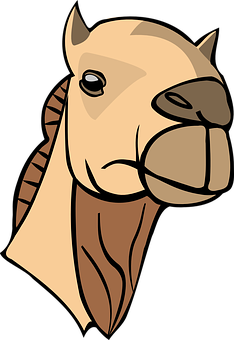 A Cartoon Of A Camel