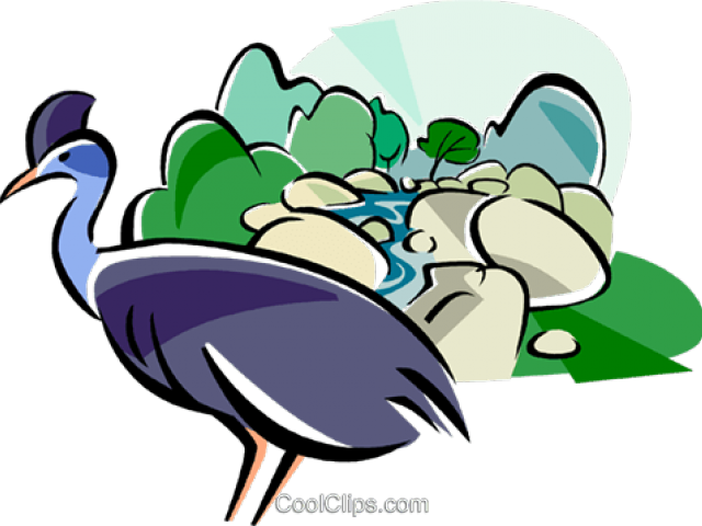 Cameleon Clipart Rainforest Animal - Rainforest Clip Art, Hd Png Download