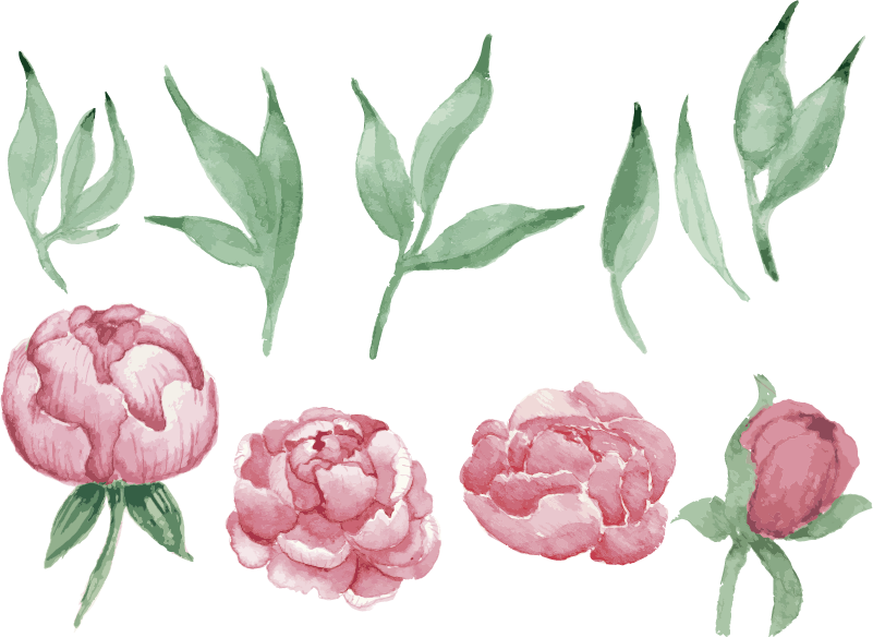 A Group Of Pink Flowers And Leaves