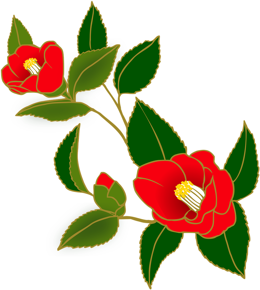 A Red Flowers With Green Leaves