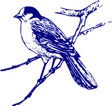 A Blue Bird On A Branch