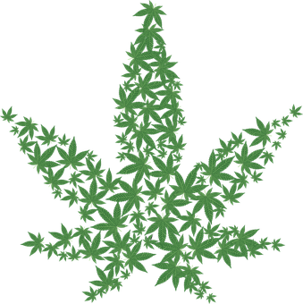 Cannabis Png 339 X 340