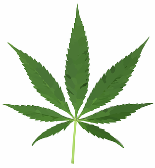 Cannabis PNG